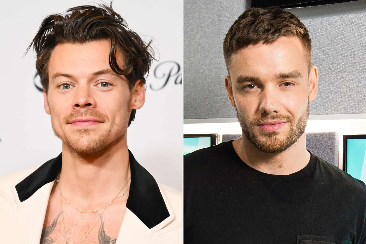 Harry Styles Reportedly Planning a Charity Album in Liam Payne’s Memory