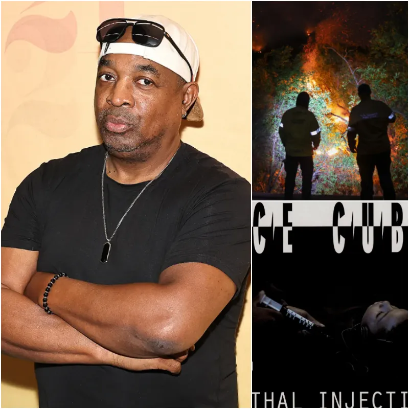 Chuck D Urges Fans to Stop Using Public Enemy During L.A. Wildfires Crisis