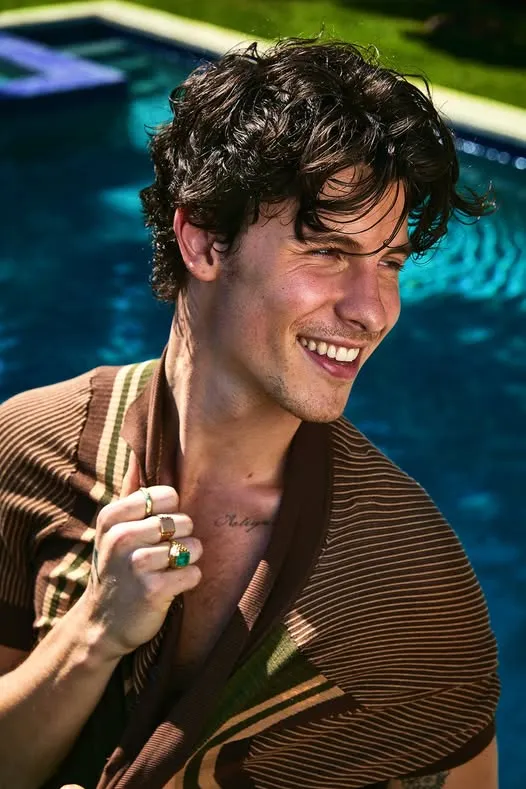 Shawn Mendes Deceived Fans To Keep Perfect Image And Secret Behind 2 Shawn Mendes Deceived Fans To Keep Perfect Image And Secret Behind