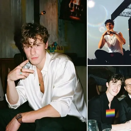 Shawn Mendes Deceived Fans To Keep Perfect Image And Secret Behind