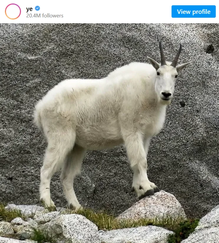 Kanye West Declares Himself 'The GOAT Of All GOATs' Amidst Huge Yeezy Earnings 3 Kanye West Declares Himself 'The GOAT Of All GOATs' Amidst Huge Yeezy Earnings