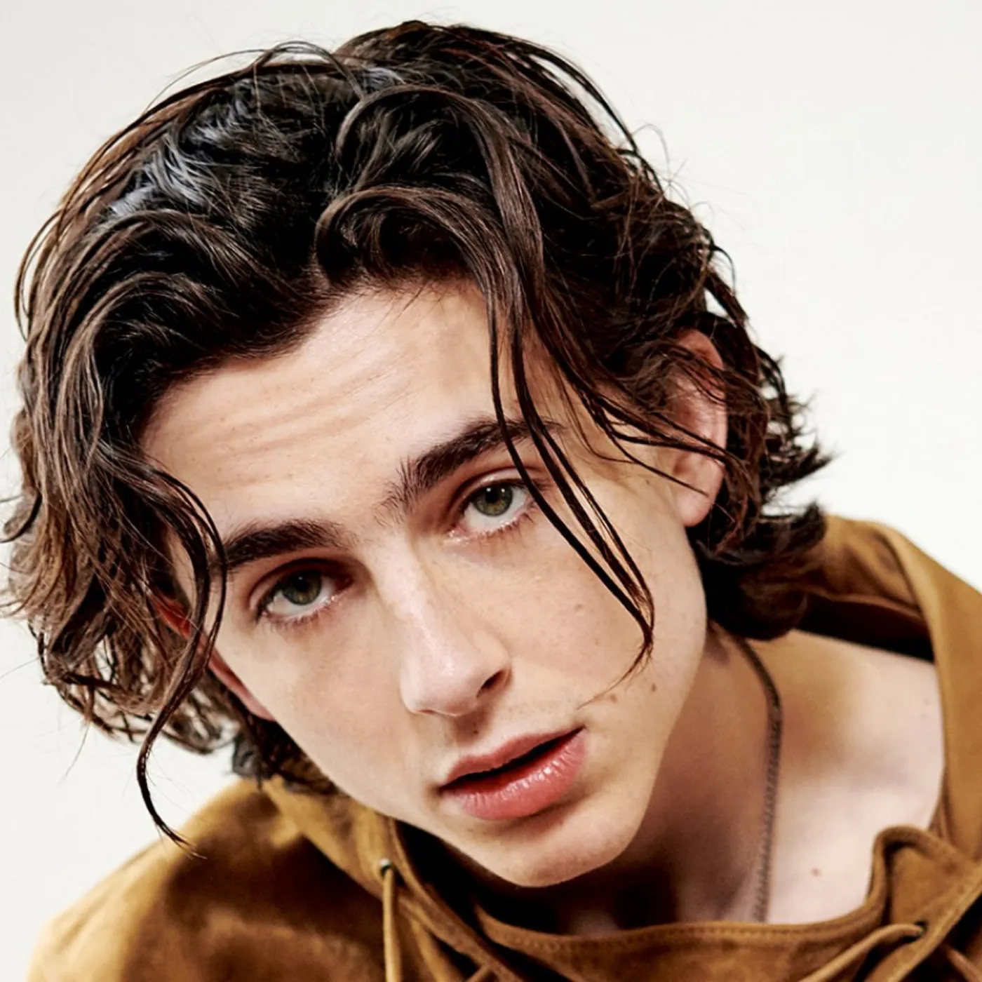 The Internet Erupts Over Timothée Chalamet’s Transformation Into a Global Icon 2 The Internet Erupts Over Timothée Chalamet’s Transformation Into a Global Icon