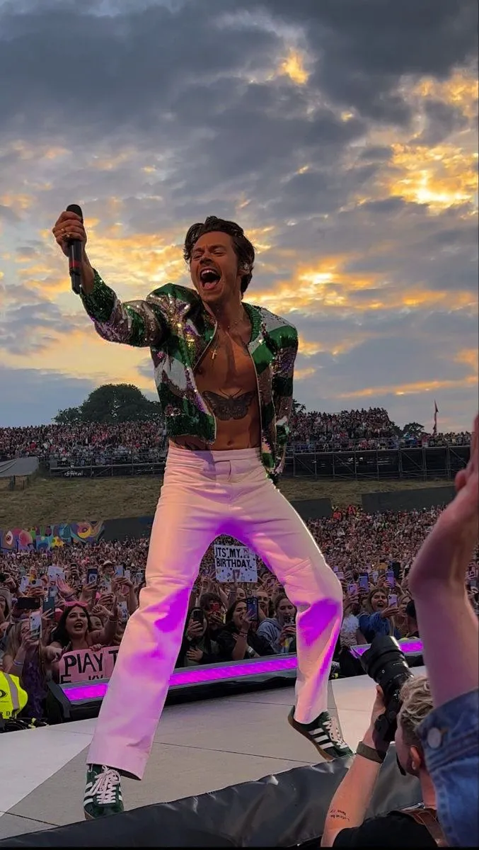 Harry Styles Just Made a Shocking Decision About His 2025 World Tour!