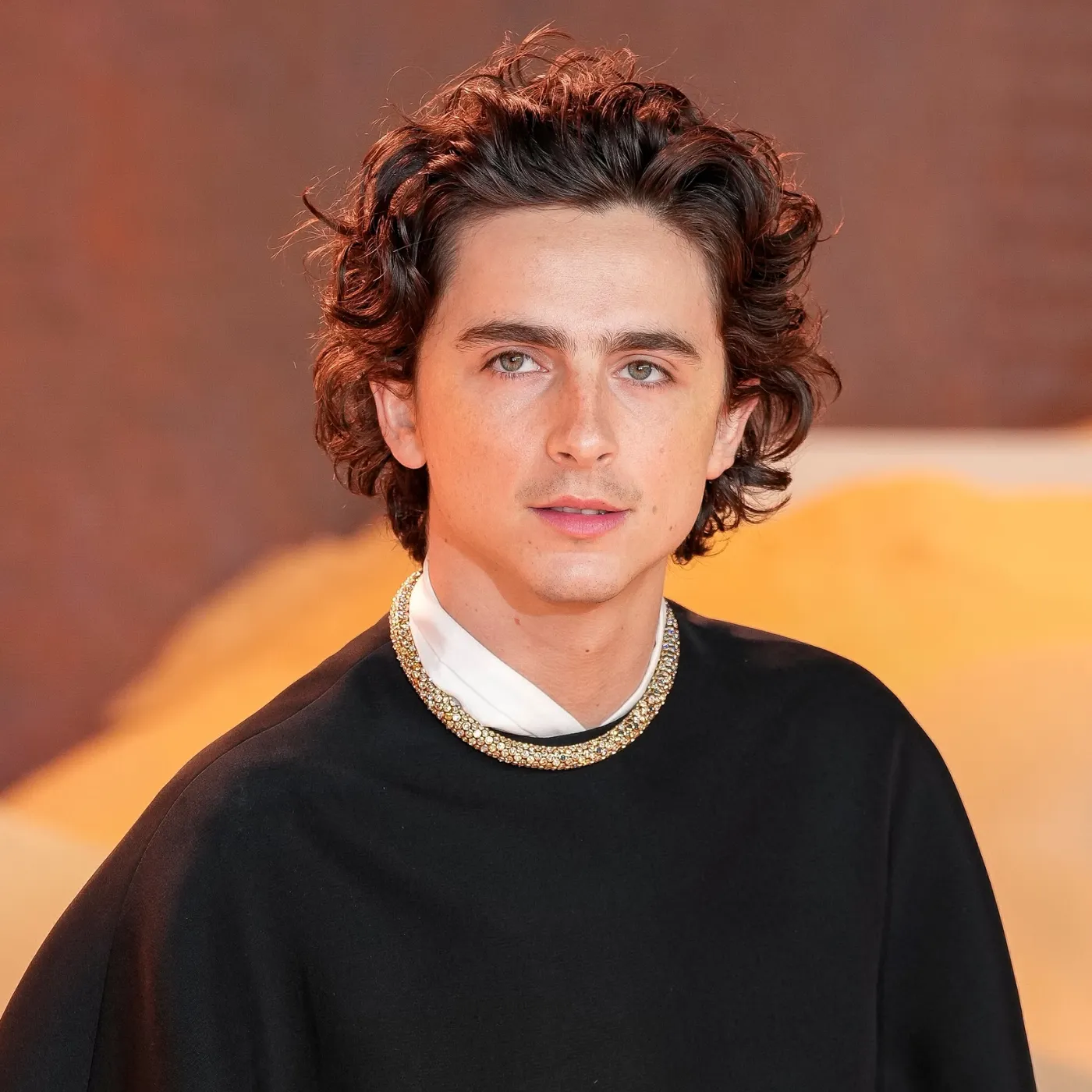 Timothée Chalamet Ignites Firestorm With Shocking Co-Star Comment That Stunned Hollywood 3 Timothée Chalamet Ignites Firestorm With Shocking Co-Star Comment That Stunned Hollywood