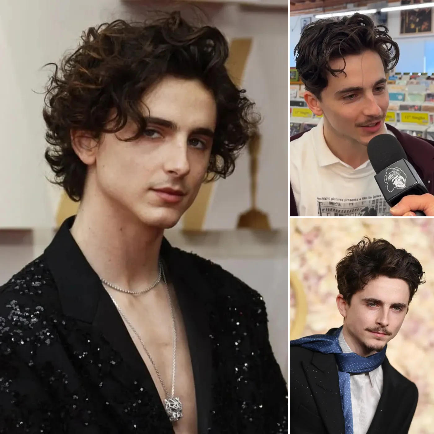 Timothée Chalamet Ignites Firestorm With Shocking Co-Star Comment That Stunned Hollywood