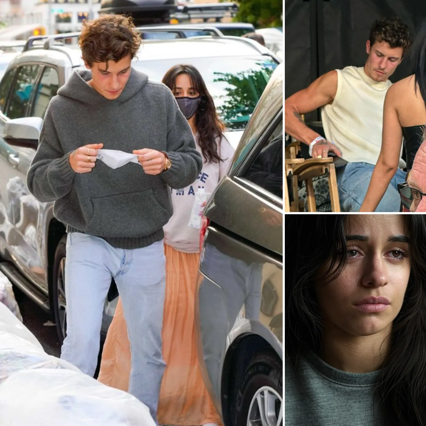 What Really Happened Between Shawn Mendes And Camila Cabello? The