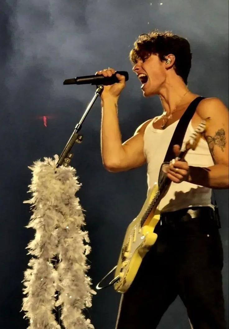 Is Shawn Mendes’ Music Becoming Irrelevant? Fans Question His Staying Power