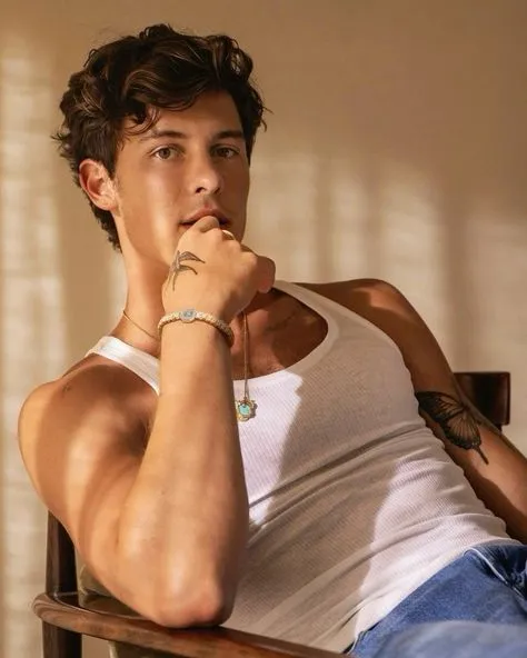 Shawn Mendes clarifies the gender scandal—who is his real lover, the singer or the boxer?