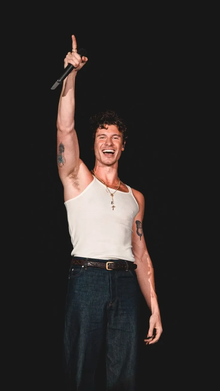 Shawn Mendes Musical Genius or Just a One-Time Phenomenon