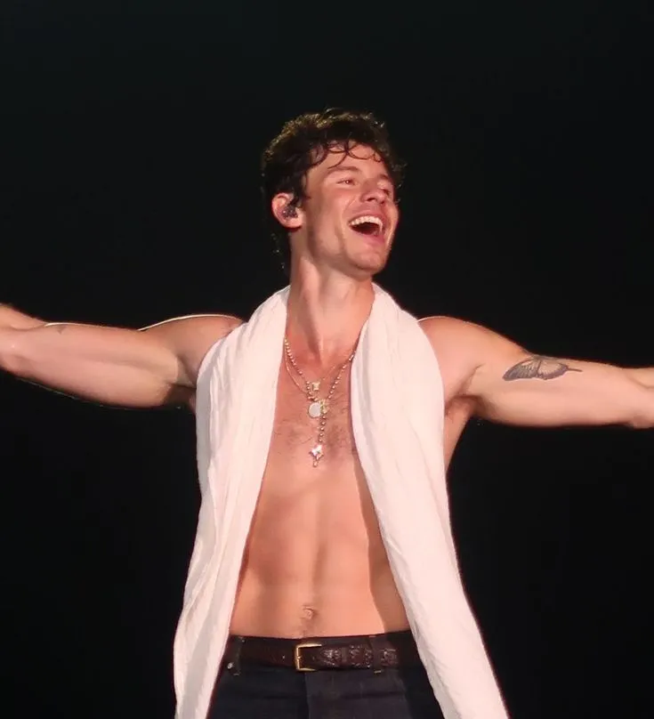 Shawn Mendes Musical Genius or Just a One-Time Phenomenon