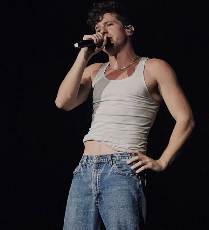 Charlie Puth Comes Out: 'This Album Is My True Self' – The Shocking Revelation You Never Saw Coming 2 Charlie Puth Comes Out: 'This Album Is My True Self' – The Shocking Revelation You Never Saw Coming