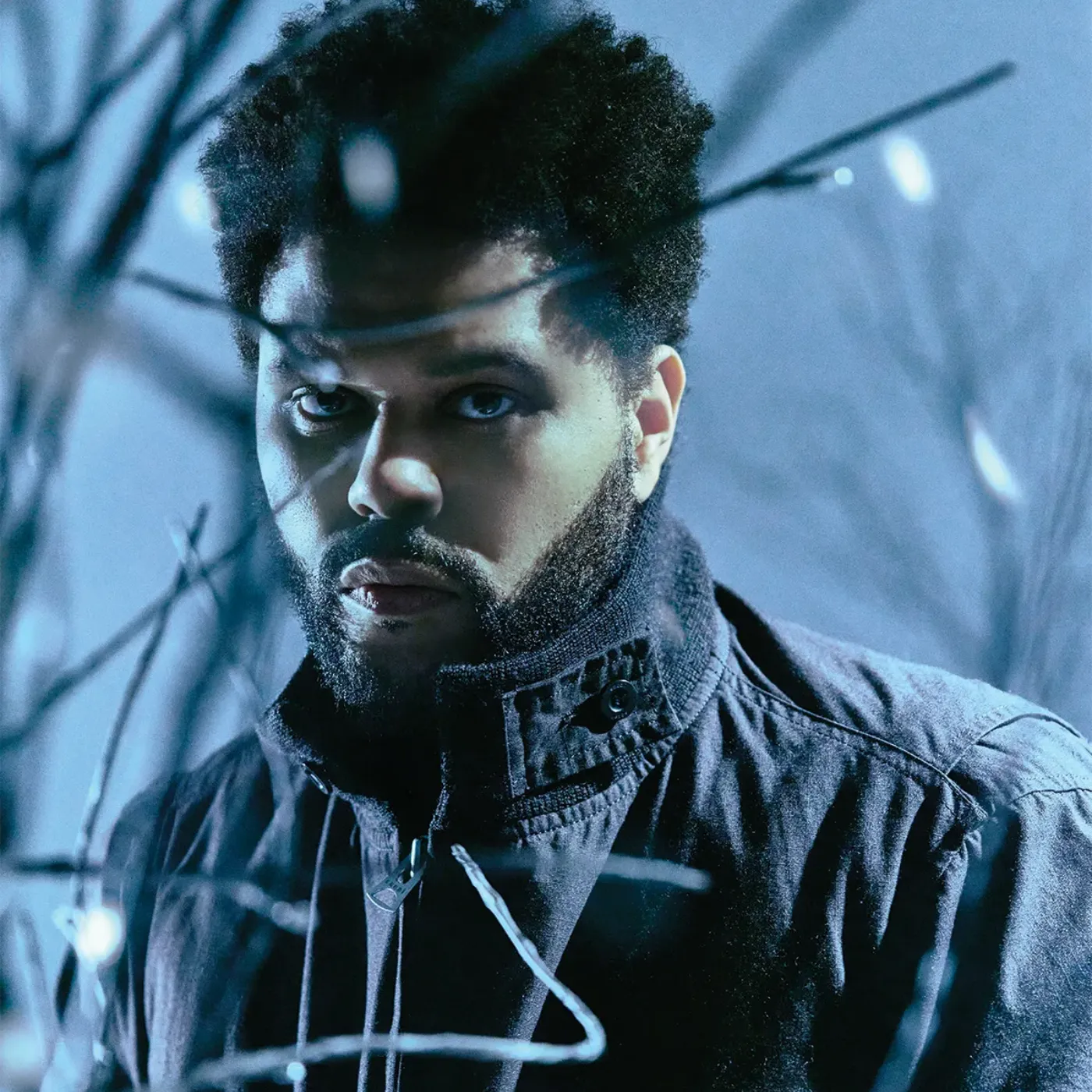 The Weeknd Postpones New Album Due to California Wildfires Beyoncé Takes Action Too