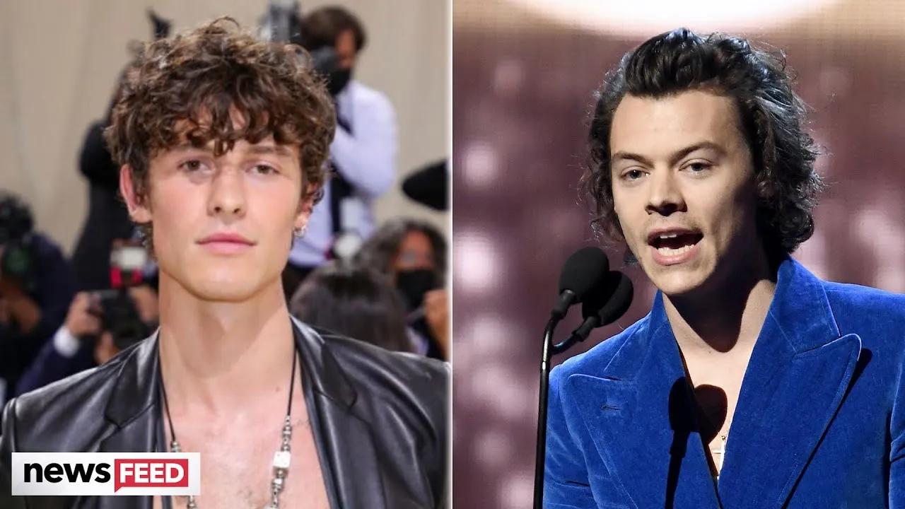 Leaked: What REALLY Happened Between Harry Styles and Shawn Mendes?