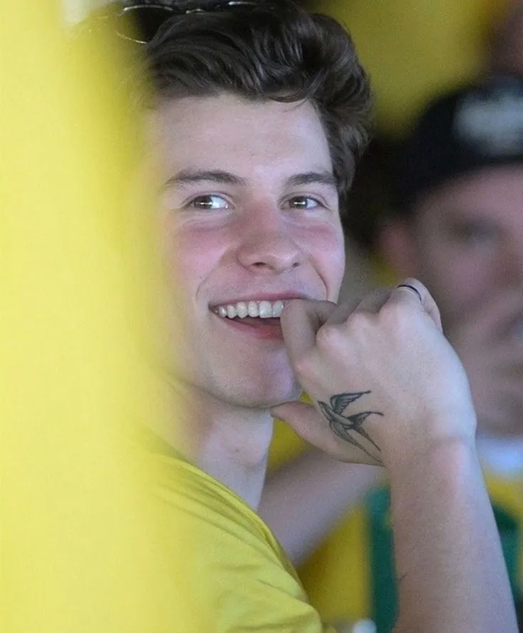 Breaking: Shawn Mendes Goes Public with His Brazilian Boyfriend