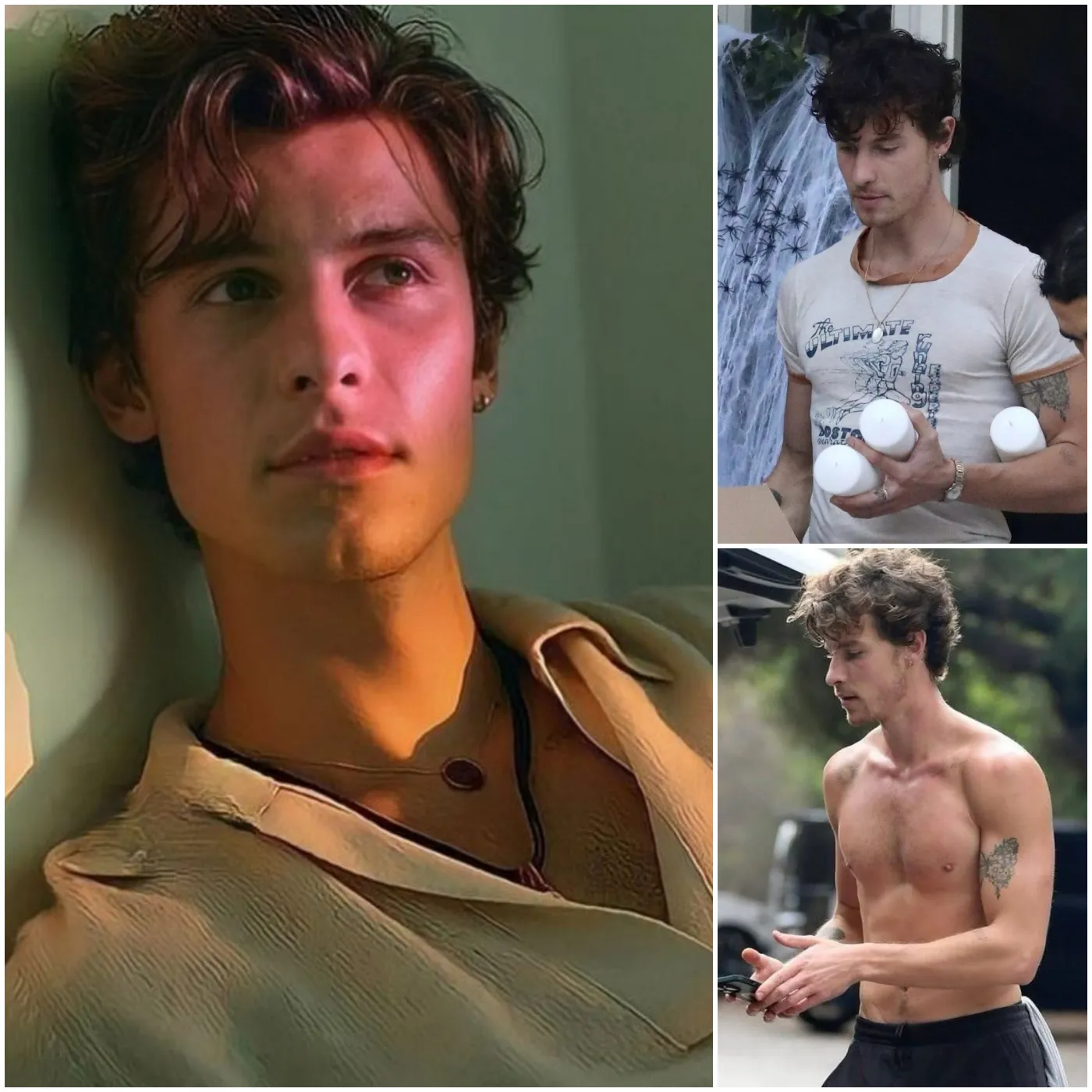 Shawn Mendes and the real life behind the spotlight: The surprising truth will shock you