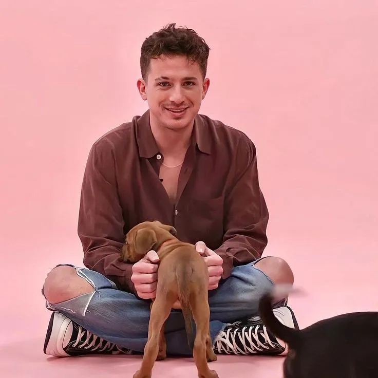 Charlie Puth’s Secret Confession? Fans Claim His New Album Reveals Hidden Truths!