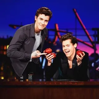 Social Media Erupts After Shawn Mendes & Harry Styles’ Shocking