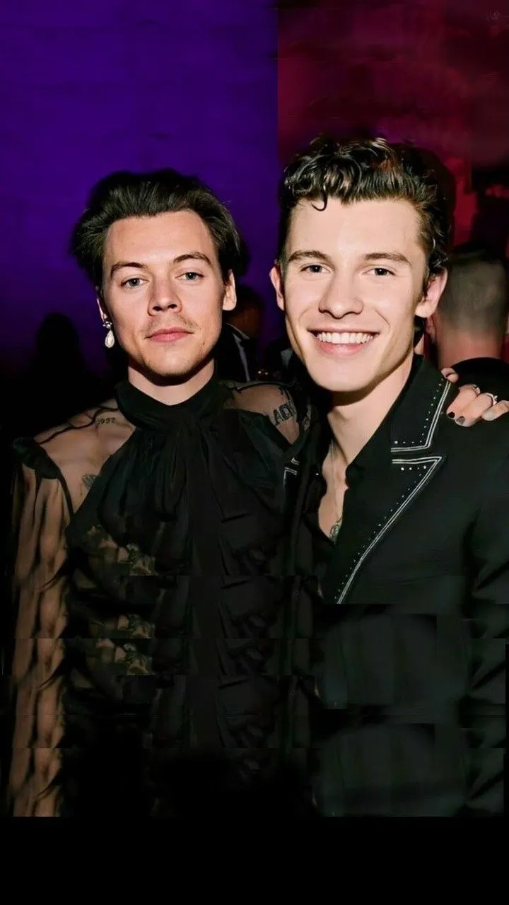 Social Media Erupts After Shawn Mendes & Harry Styles’ Shocking Interview Statement!