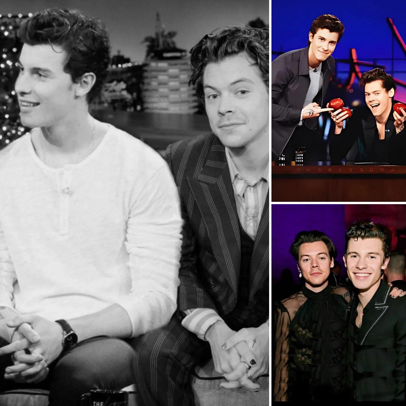 Social Media Erupts After Shawn Mendes & Harry Styles’ Shocking Interview Statement!