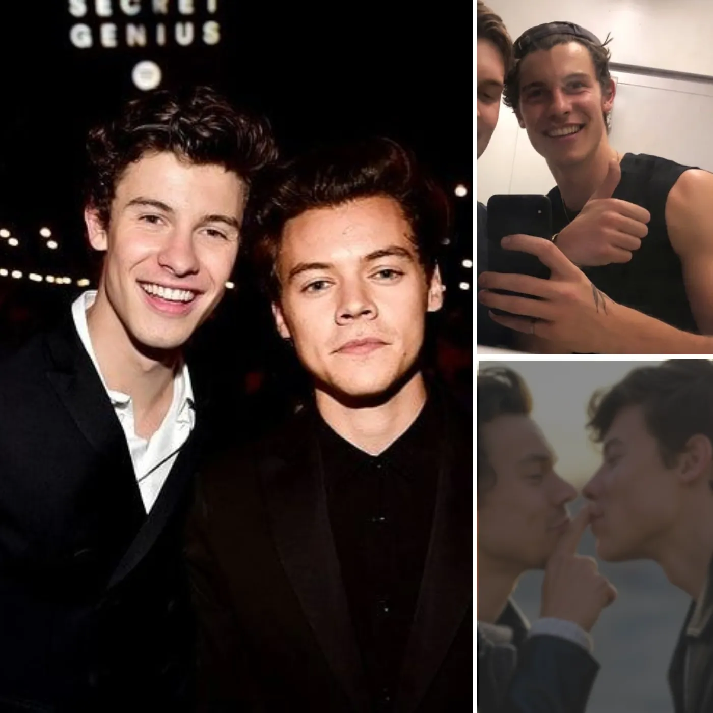 What’s REALLY Going On? Harry Styles and Shawn Mendes Caught Getting Cozy!