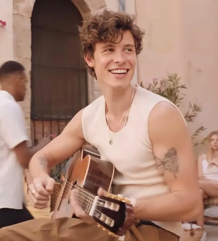 Shawn Mendes: Is He Making Music to Satisfy His Personal Taste or Just to Satisfy His Fans?