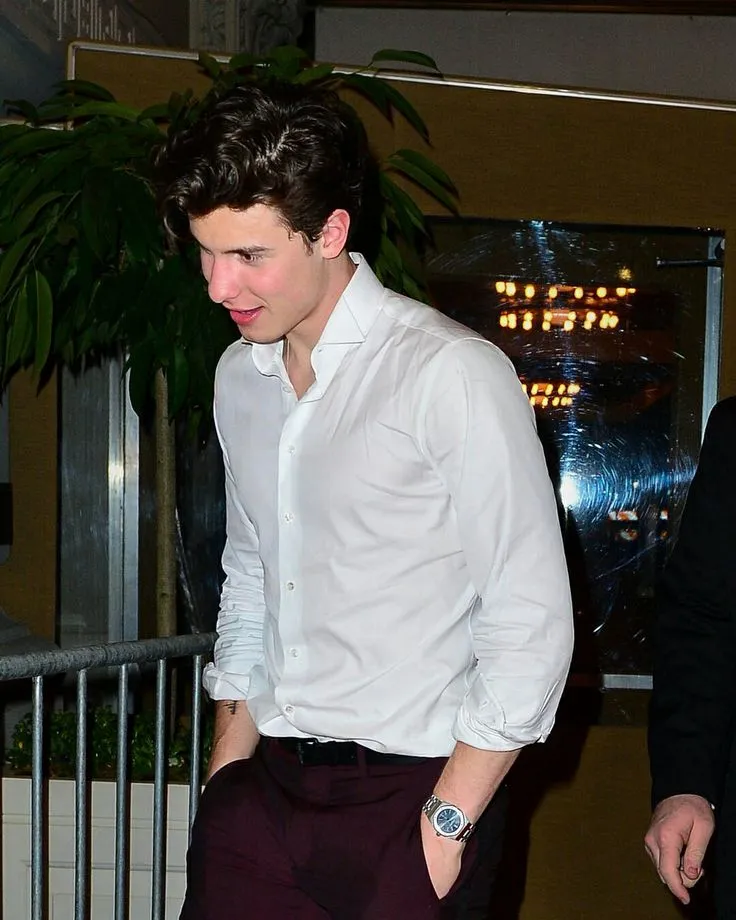 Shawn Mendes Reveals the Brutal Truth: Is Fame Really Worth the Price?