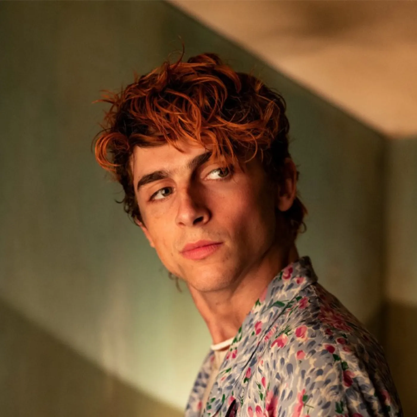 Timothée Chalamet's Performance Leaves Critics Divided Over Oscar Worthiness