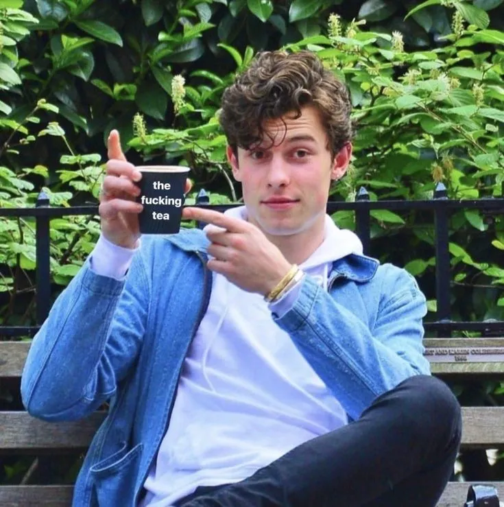 You Will not Believe These 6 Secrets About Shawn Mendes' Touching New Album: Six Startling Behind-The-Scenes Details Regarding Shawn Mendes' Upcoming Album.