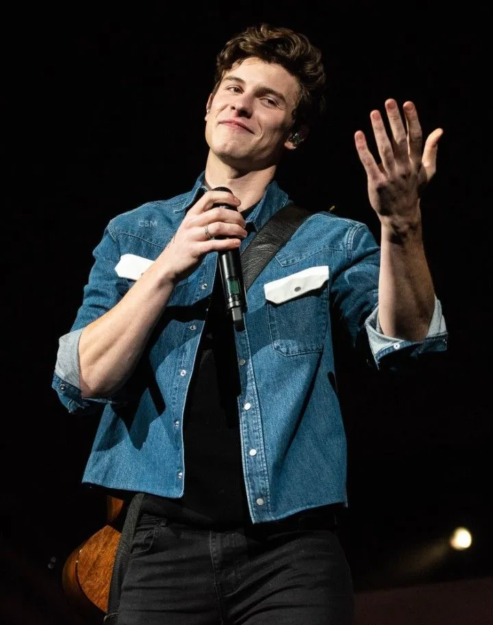 Shawn Mendes: Musical genius or just a temporary phenomenon?