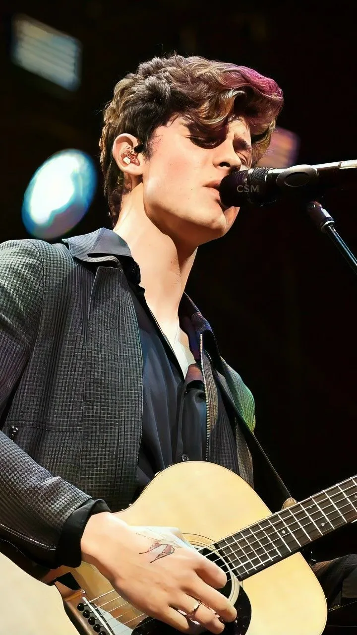 Shawn Mendes: Musical genius or just a temporary phenomenon?