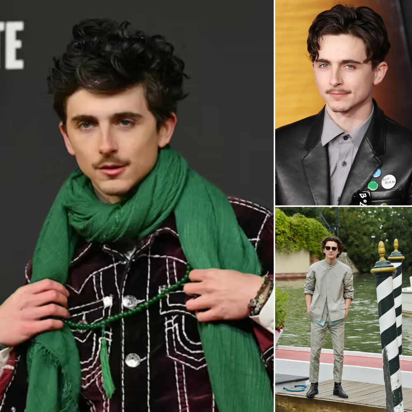 "What Is Going On?" Timothée Chalamet Stuns with Bizarre Red Carpet Move