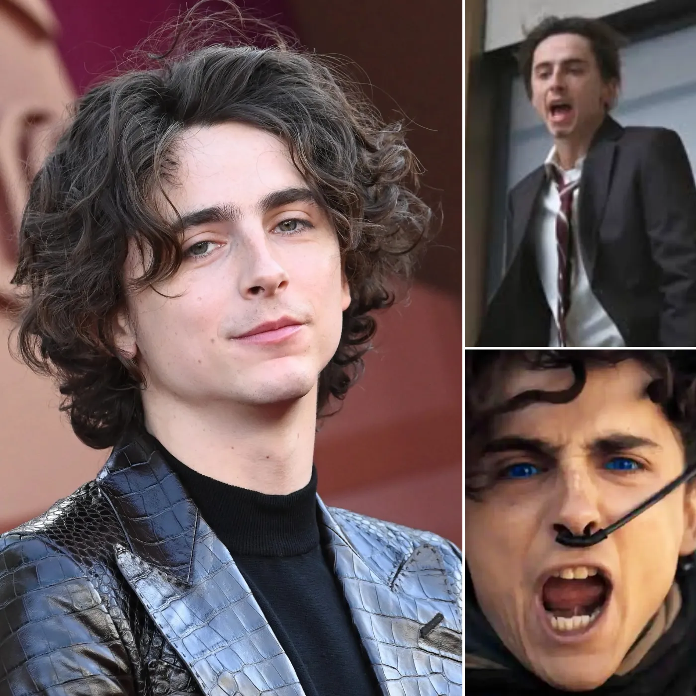 Timothée Chalamet’s Shocking Decision Has Everyone Wondering About His Future
