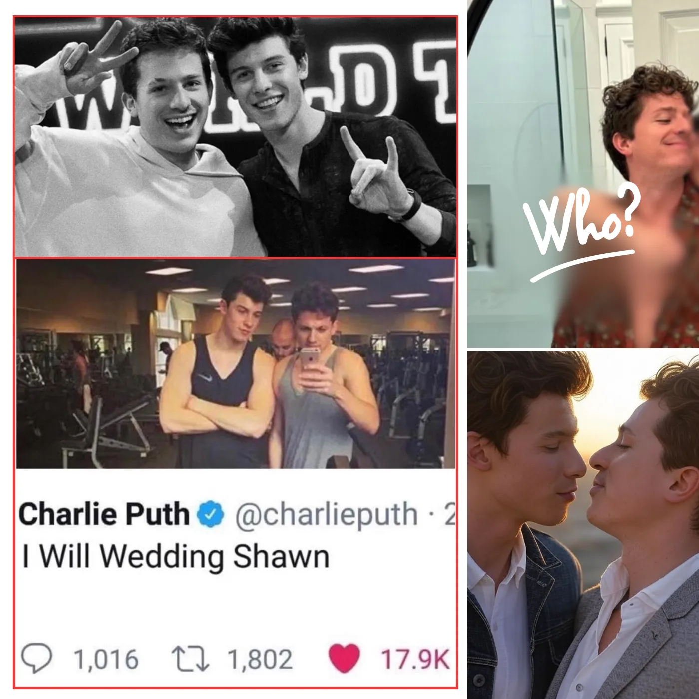 Is Charlie Puth and Shawn Mendes’ New Music Video Hiding a Secret Romance?