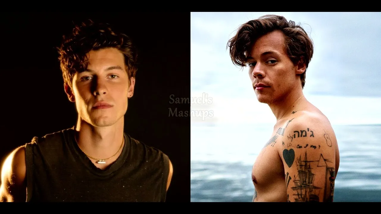 Lost In A Cinema (Shawn Mendes x Harry Styles Mashup) | Lost In Japan x  Cinema