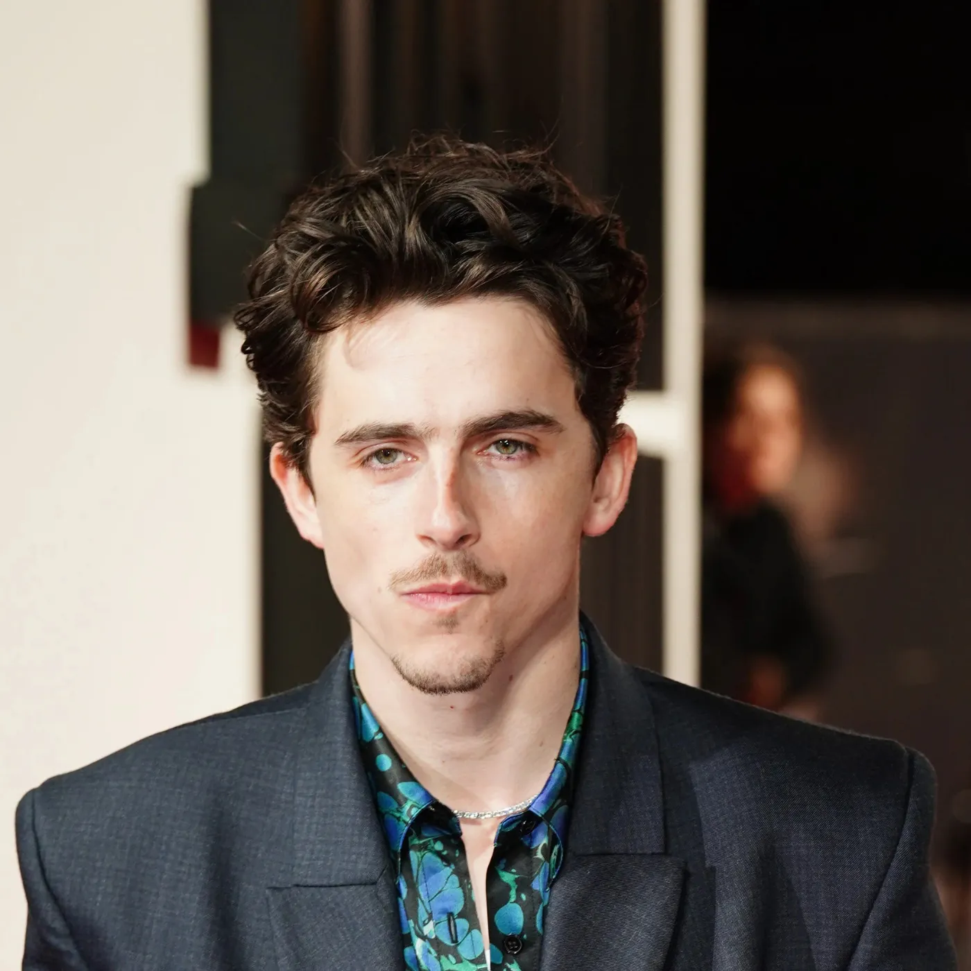 Timothée Chalamet's Latest Experiment: A Clear Gimmick, Not Genius 3 Timothée Chalamet's Latest Experiment: A Clear Gimmick, Not Genius