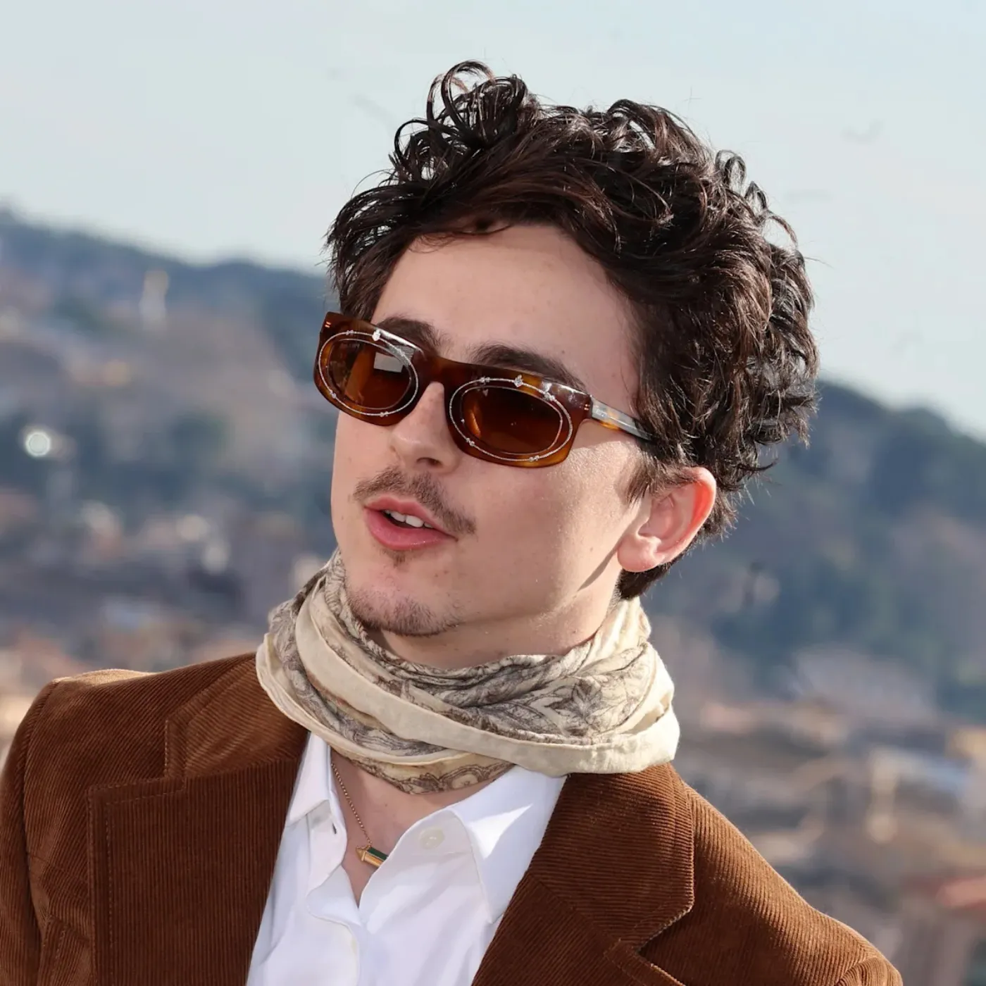 Timothée Chalamet's Latest Experiment: A Clear Gimmick, Not Genius 4 Timothée Chalamet's Latest Experiment: A Clear Gimmick, Not Genius