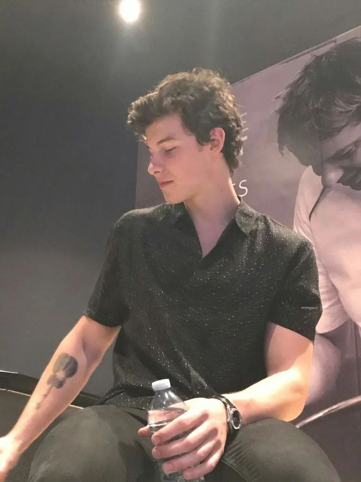 Shawn Mendes is enjoying himself with his boyfriend.