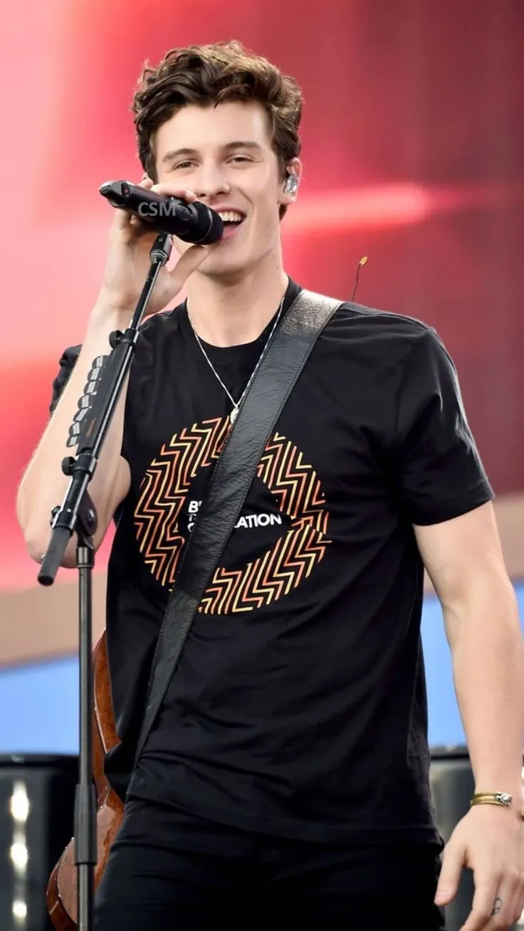 Shawn Mendes is enjoying himself with his boyfriend.