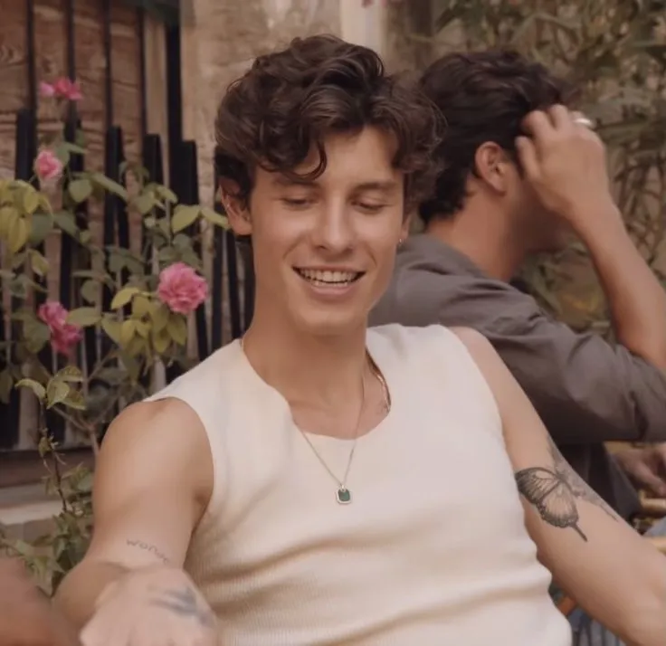 From Sweetheart to Scandal: How Shawn Mendes Lost His Image Overnight!