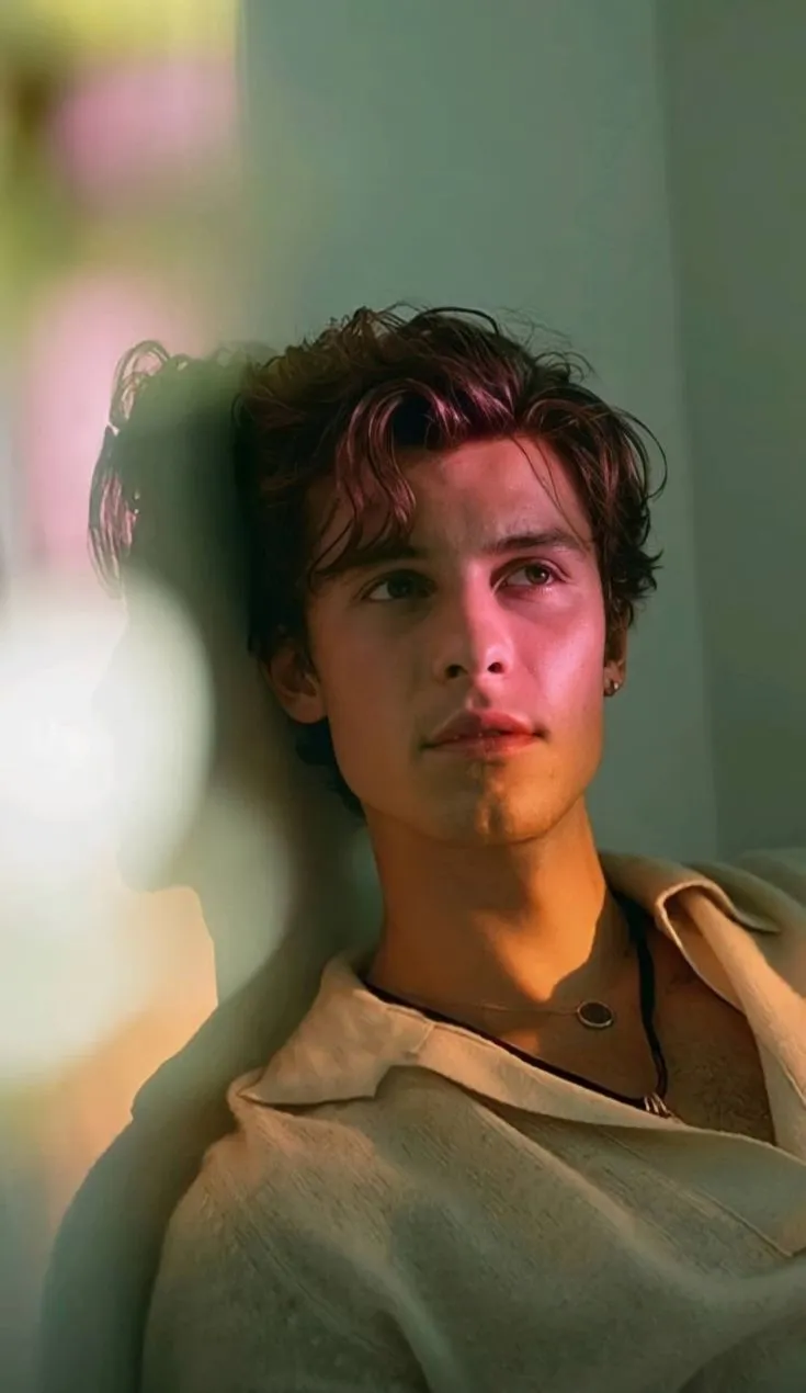 Shawn Mendes in Rehab: The Rumors Everyone's Talking About!