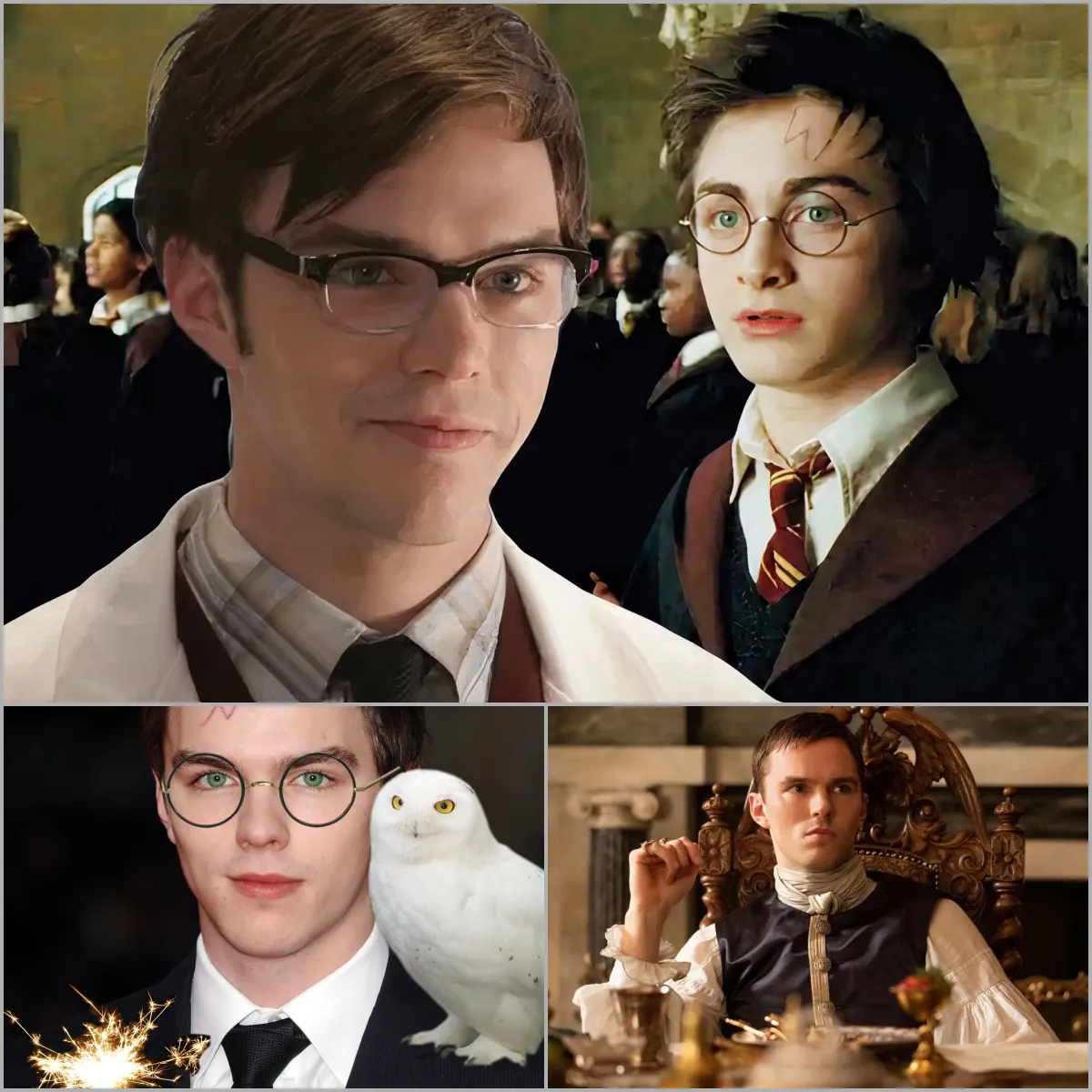 Nicholas Hoult auditioned for Harry Potter. Could he be the star of the legendary series