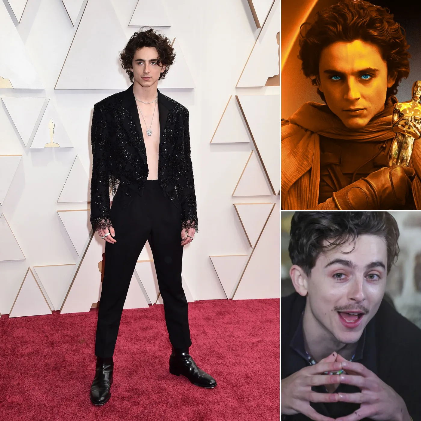 Timothée Chalamet’s Oscar Nod Exposes Hollywood’s Shocking Bias Toward Celebrities