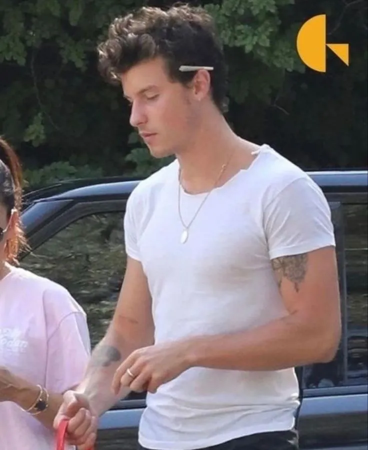 image_67944f345eecd Despite Spending His Life Cultivating the Perfect Image, Shawn Mendes Loses His Real Life Image