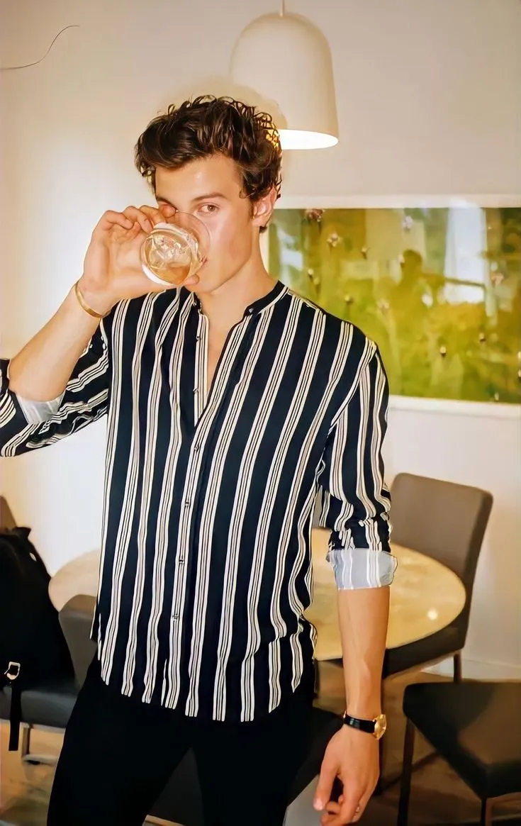 Shawn Mendes's Private Life: What He Does not Want You to Know