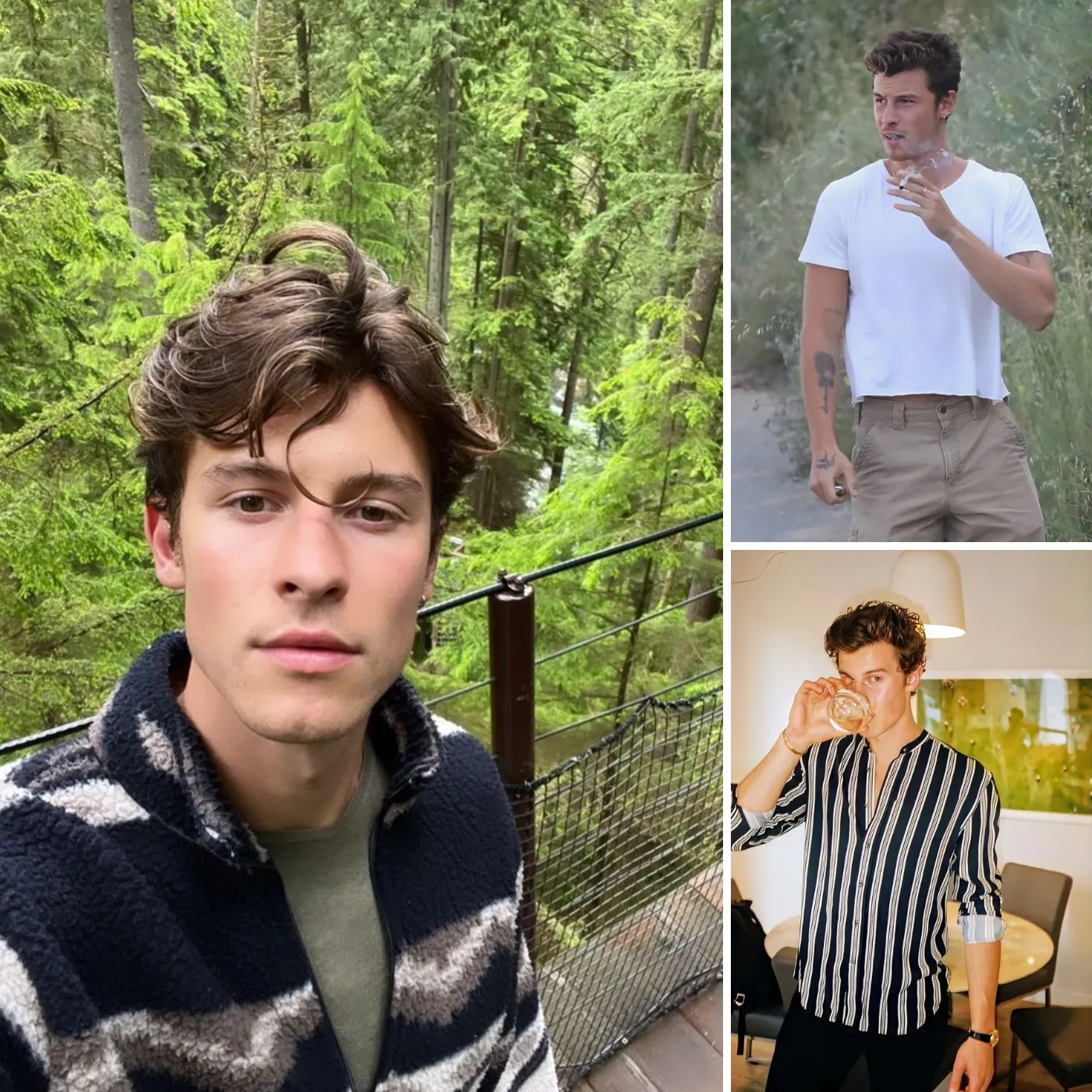 Shawn Mendes's Private Life: What He Does not Want You to Know
