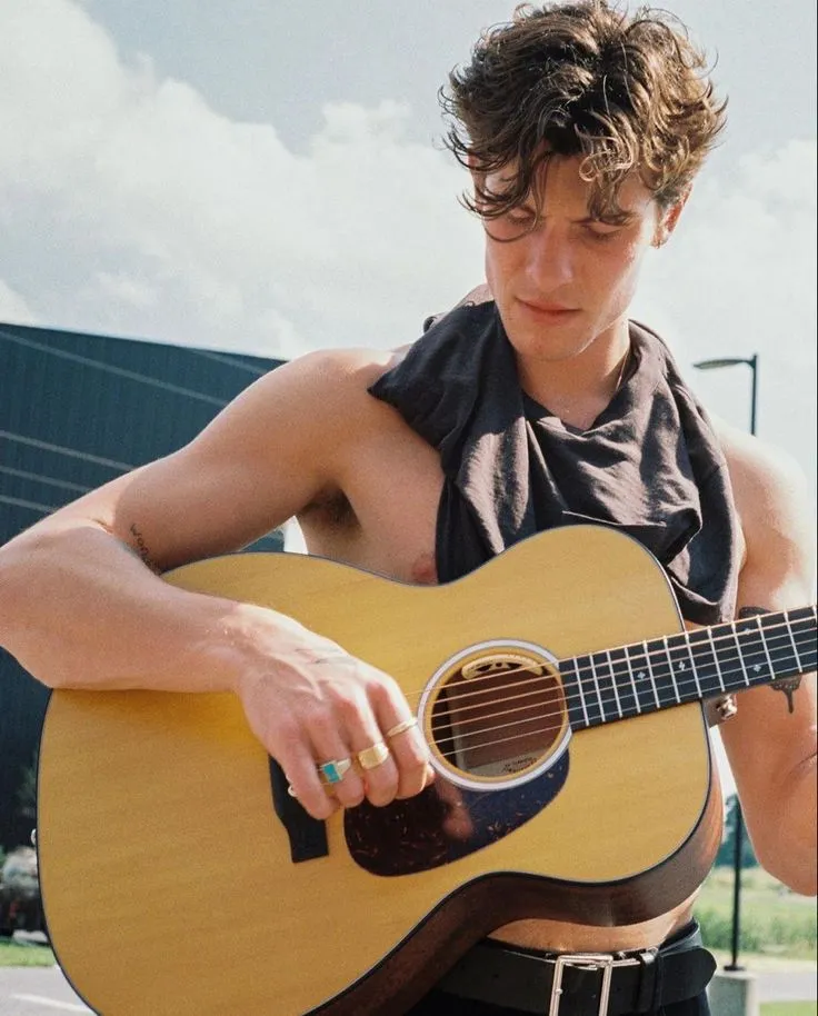 Shawn Mendes: Proof That Looks Matter More Than Talent In Music