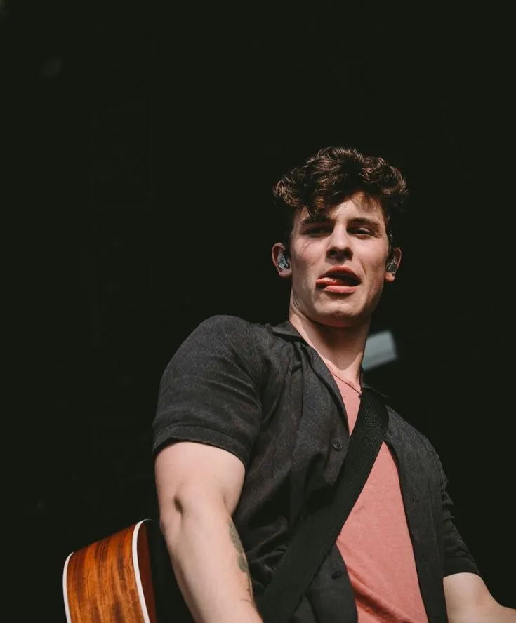 Shawn Mendes: Proof That Looks Matter More Than Talent In Music