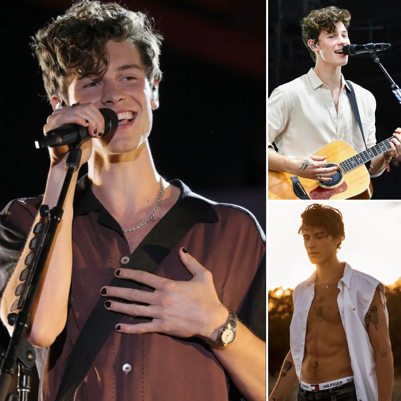 Shawn Mendes: Proof That Looks Matter More Than Talent In Music