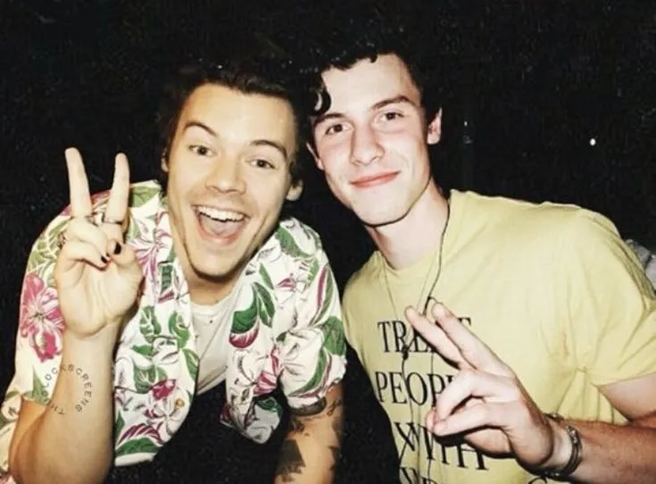 The Secret Connection Between Harry Styles and Shawn Mendes—You Won't Believe It!