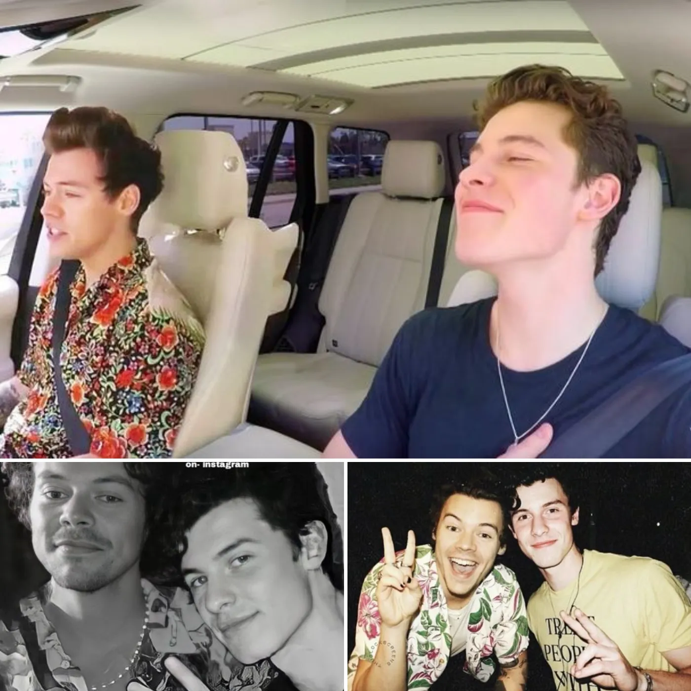 The Secret Connection Between Harry Styles and Shawn Mendes—You Won't Believe It!